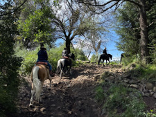 Mexico-Central Mexico-Ajusco Riding Holidays